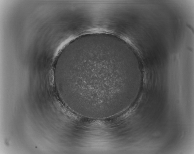 X0000100401358200806131004