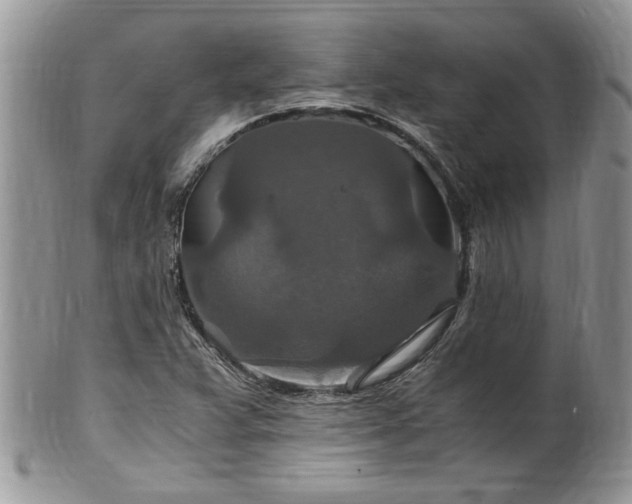 X0000100401359200806131004