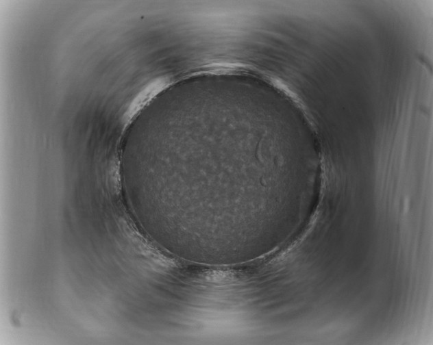 X0000100401362200806131004