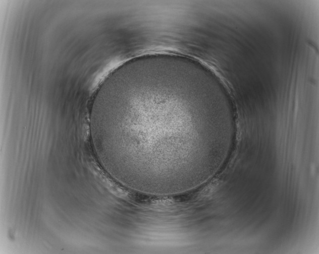 X0000100401363200806131004