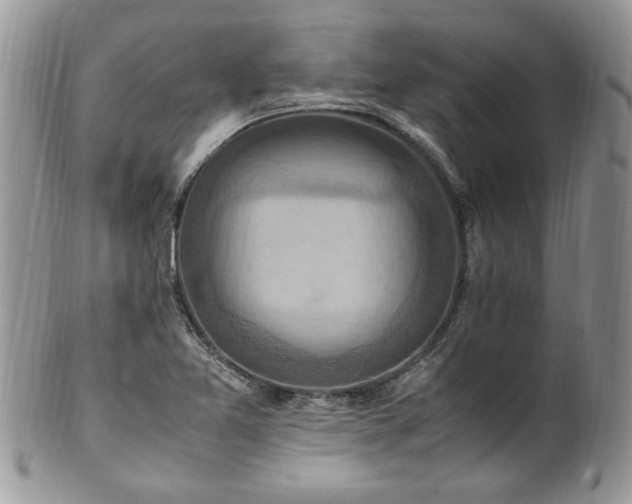 X0000100401365200806131004