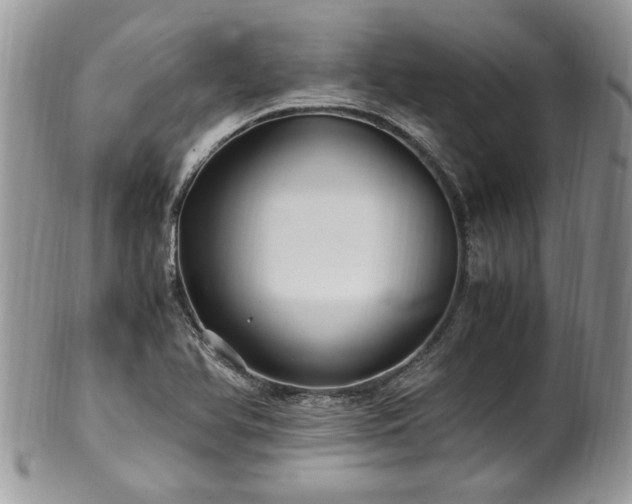 X0000100401366200806131004