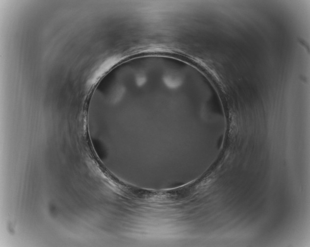 X0000100401367200806131004
