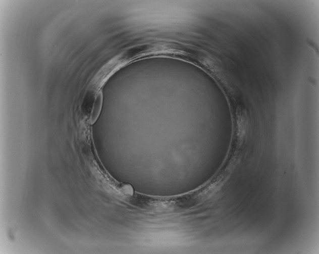 X0000100401369200806131004