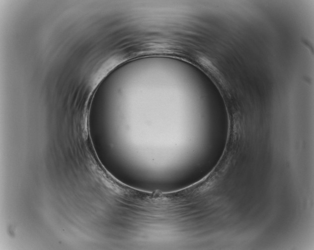 X0000100401370200806131004