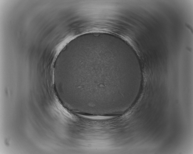 X0000100401371200806131004