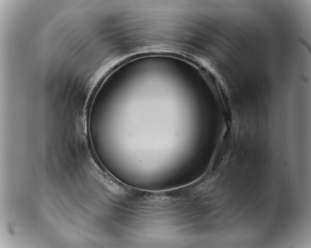 X0000100401372200806131004
