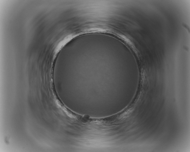 X0000100401373200806131004