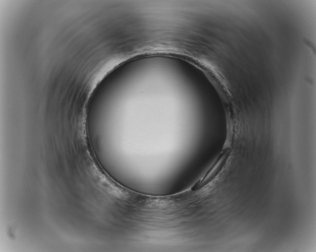 X0000100401374200806131004