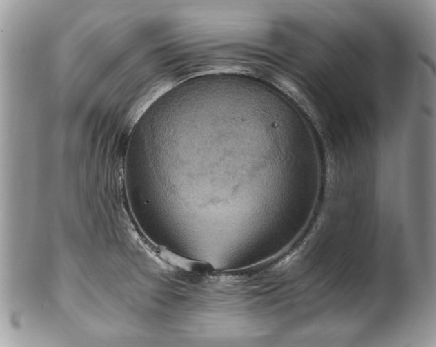 X0000100401377200806131004