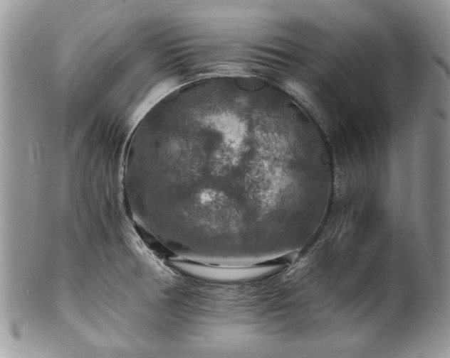 X0000100401378200806131004