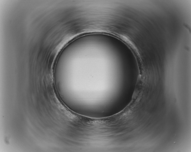 X0000100401380200806131004