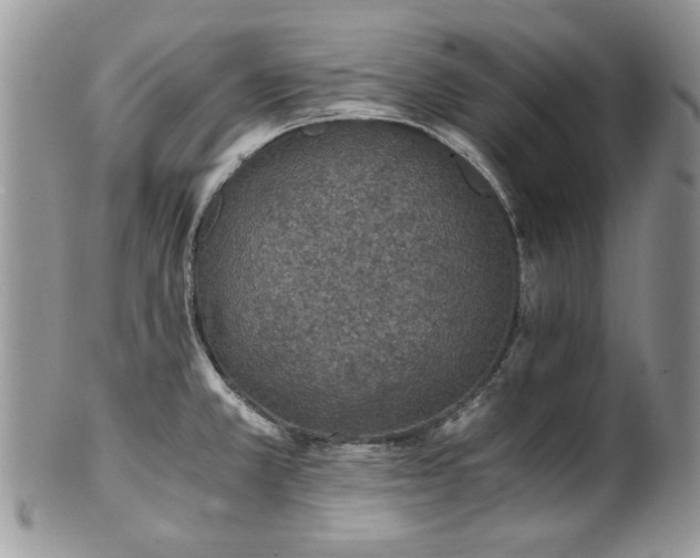 X0000100401381200806131004
