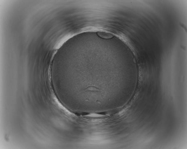 X0000100401382200806131004