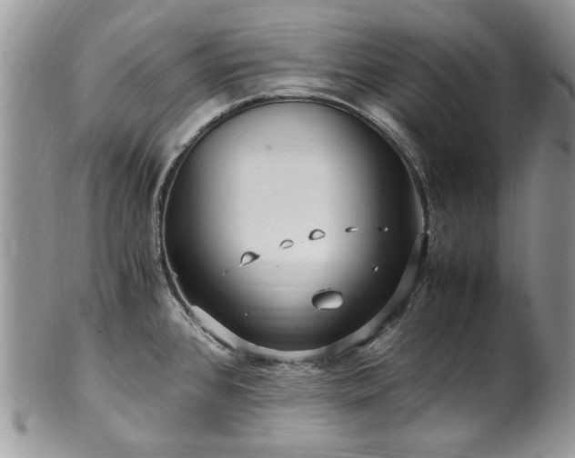 X0000100401384200806131004