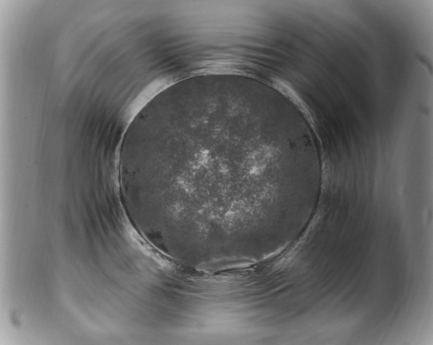 X0000100401386200806131004