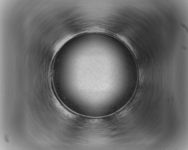 X0000100401387200806131004