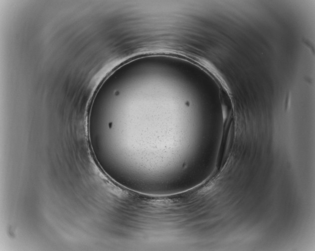 X0000100401388200806131004