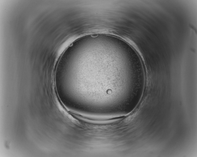 X0000100401389200806131004