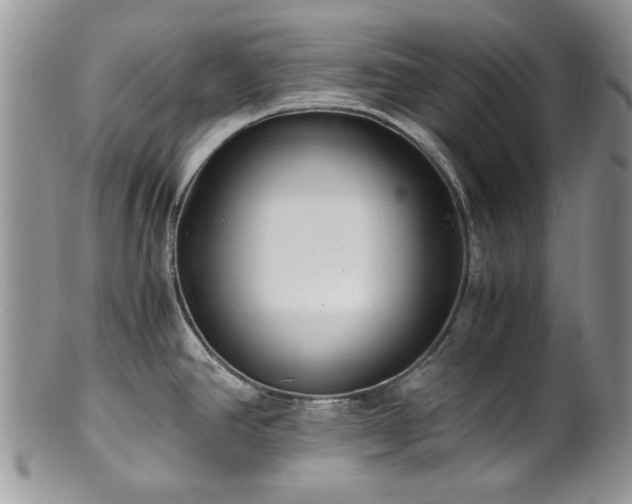 X0000100401390200806131004