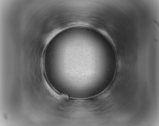 X0000100401391200806131004