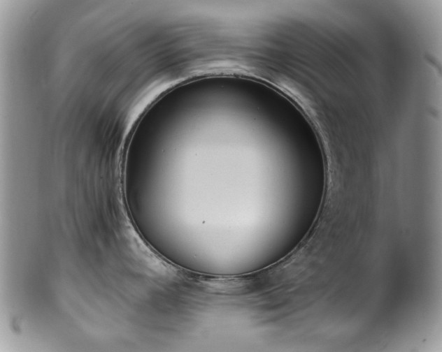 X0000100401392200806131004