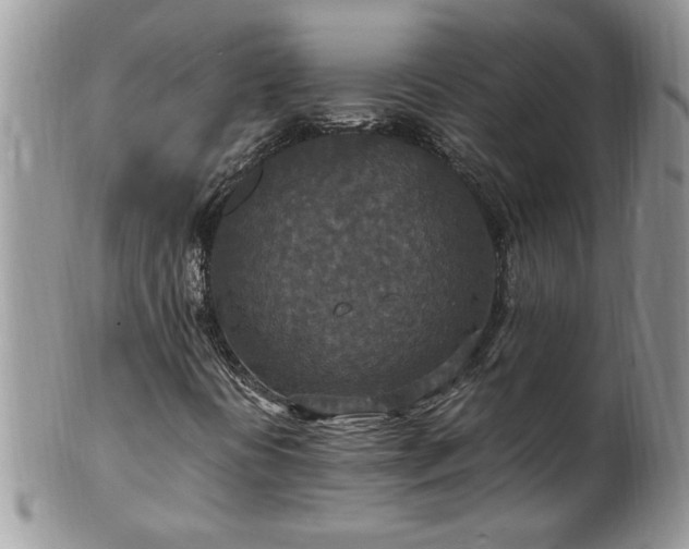 X0000100401394200806131003