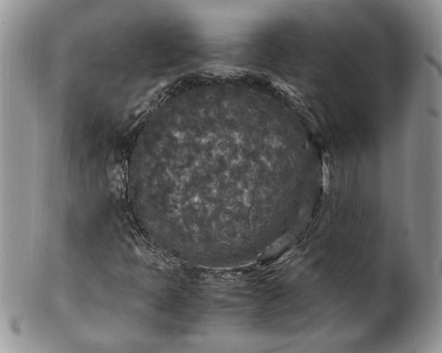 X0000100401397200806131003