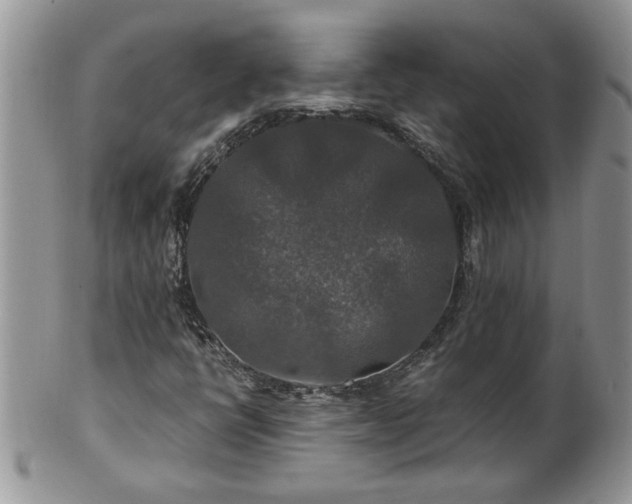 X0000100401398200806131003