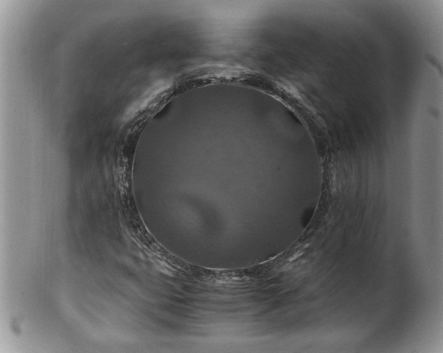 X0000100401399200806131003