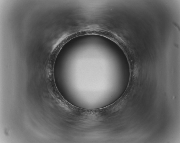 X0000100401400200806131003