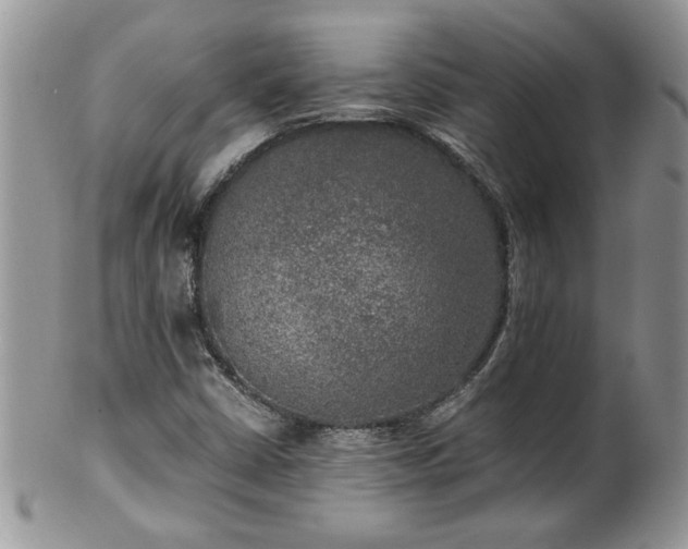 X0000100401402200806131003