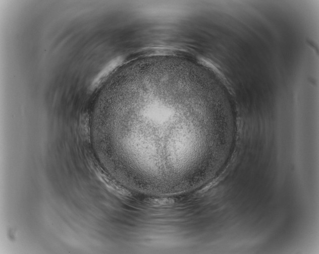 X0000100401403200806131003