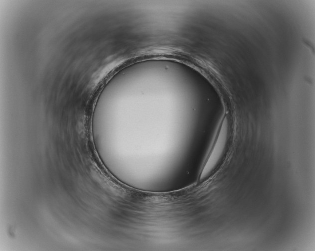 X0000100401404200806131003