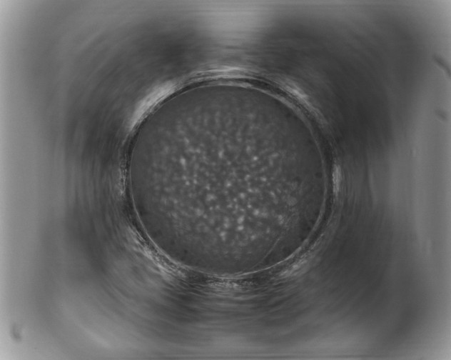 X0000100401405200806131003