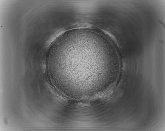 X0000100401407200806131003