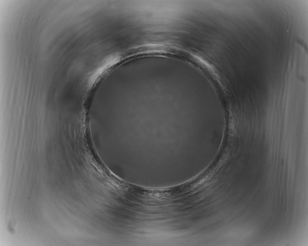 X0000100401411200806131004