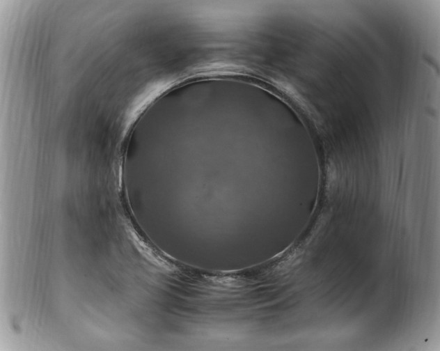X0000100401413200806131004
