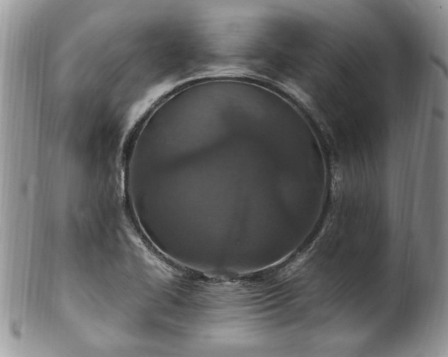 X0000100401414200806131004