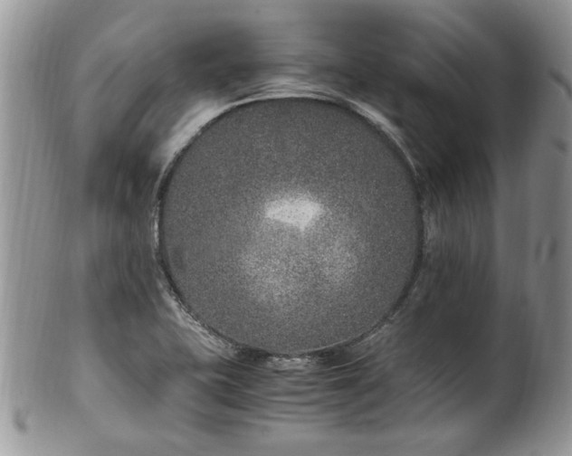 X0000100401415200806131004