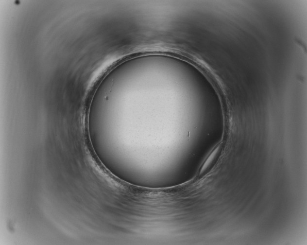 X0000100401416200806131004