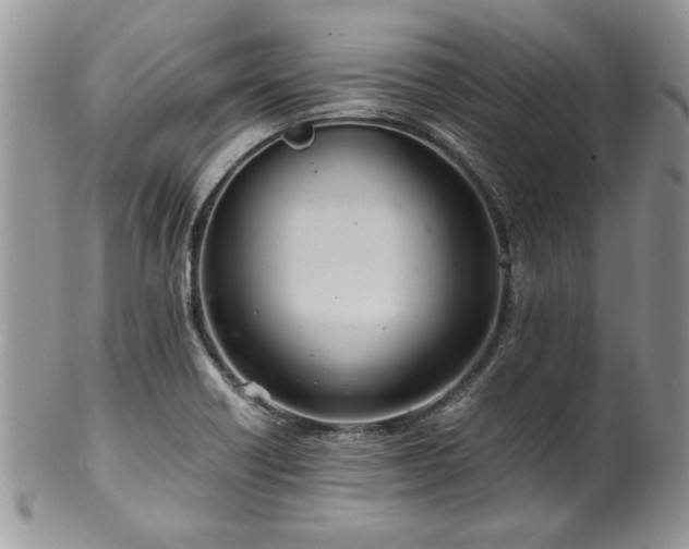 X0000100401418200806131004