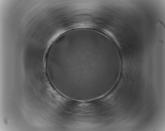 X0000100401419200806131004
