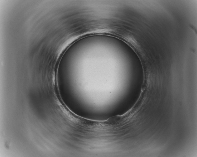 X0000100401420200806131004