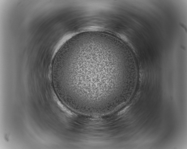 X0000100401421200806131004