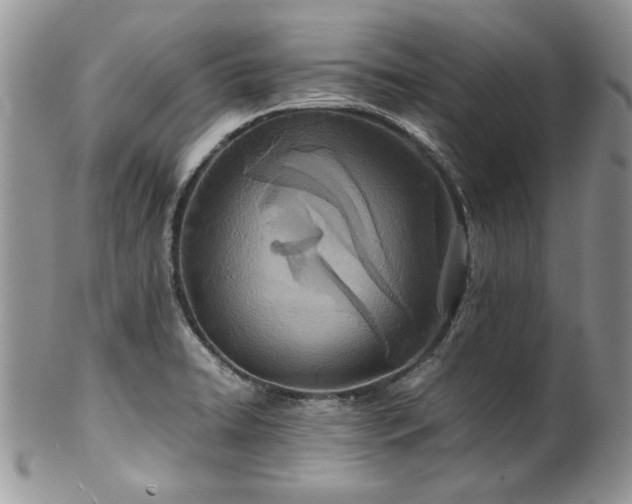 X0000100401422200806131004