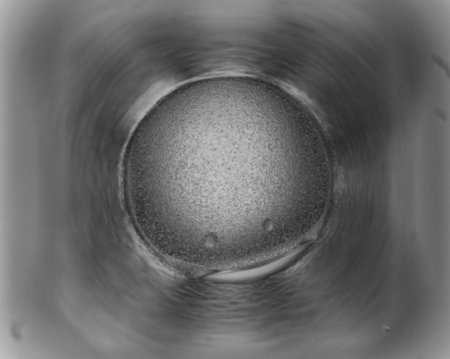 X0000100401423200806131004