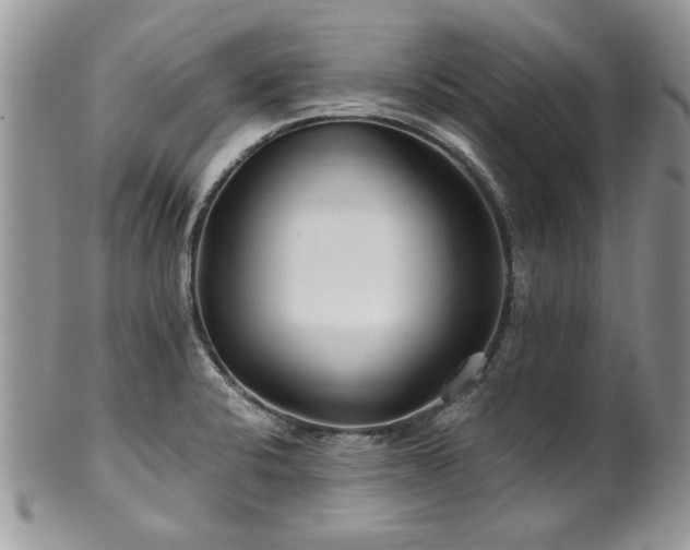 X0000100401424200806131004