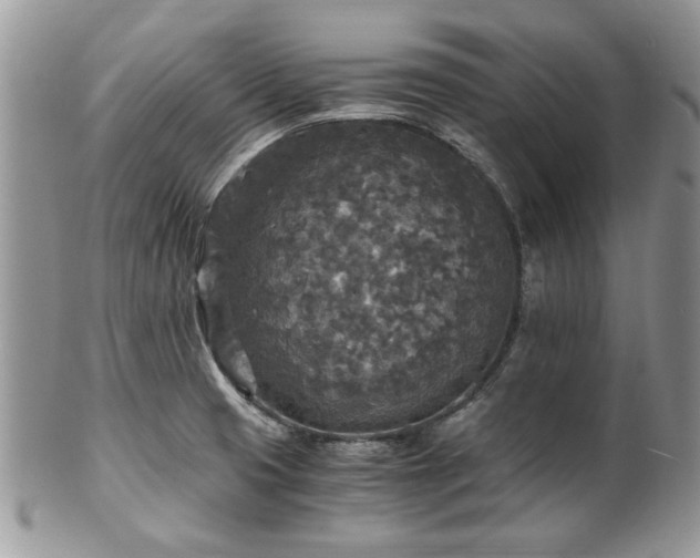 X0000100401425200806131004