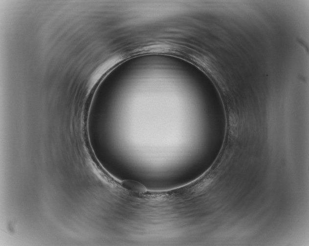 X0000100401426200806131004
